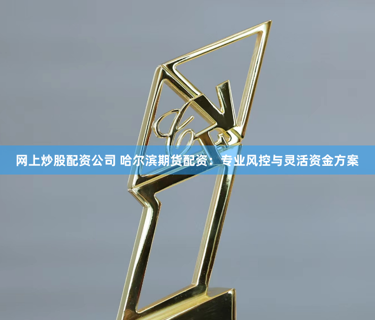 网上炒股配资公司 哈尔滨期货配资：专业风控与灵活资金方案