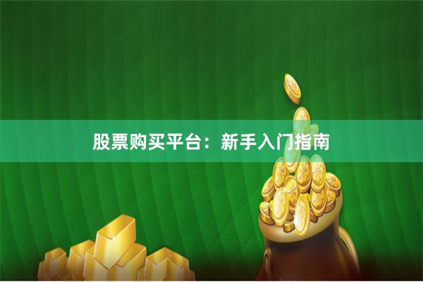 股票购买平台：新手入门指南